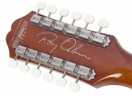 Epiphone Roy Orbison Signature Guitar