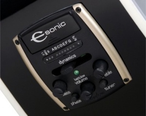 Epiphone Dave Navarro A/E Controls